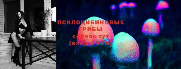 хмурый Костерёво