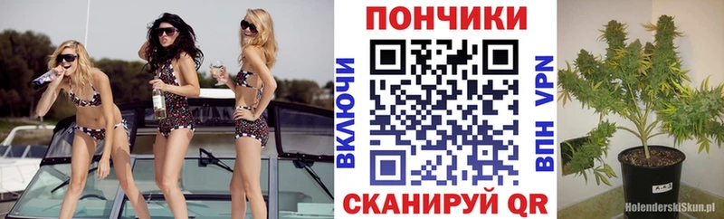 где купить наркотик  Павловск  Канабис OG Kush 